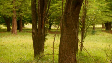 Turismo integrador: abre tu mente y tómate tu tiempo con tu "yo" interno y la naturaleza
